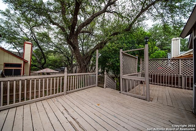 16807 Cedar Tree, San Antonio, TX 78247