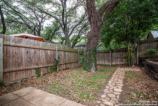 16807 Cedar Tree, San Antonio, TX 78247