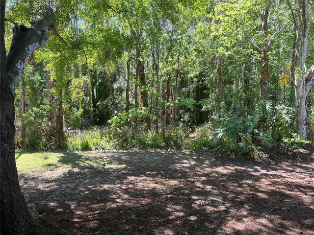 13048 COG HILL WAY, Orlando, FL 32828