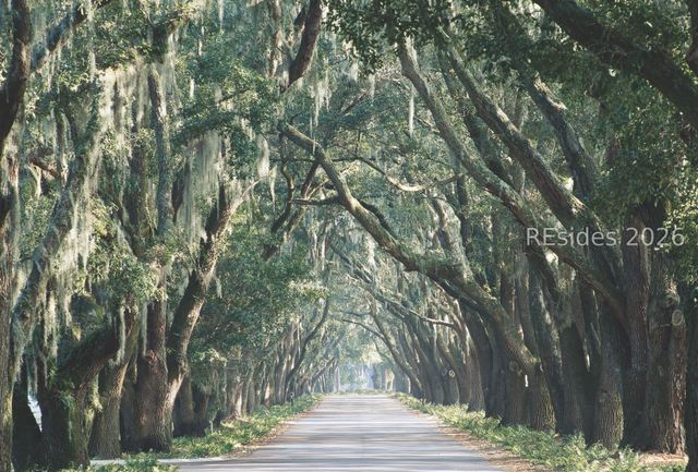 4 Cooper Ct, Bluffton, SC 29910