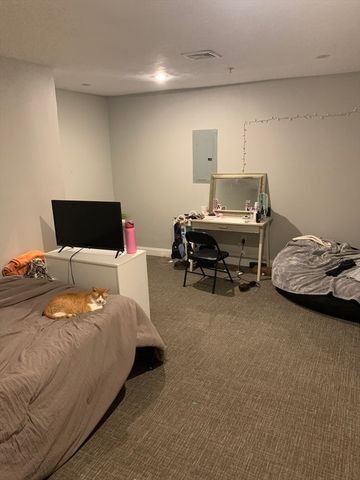 5 Woodworth Street 11, Boston, MA 02122