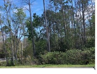 0000 POYNER ROAD, Polk City, FL 33868
