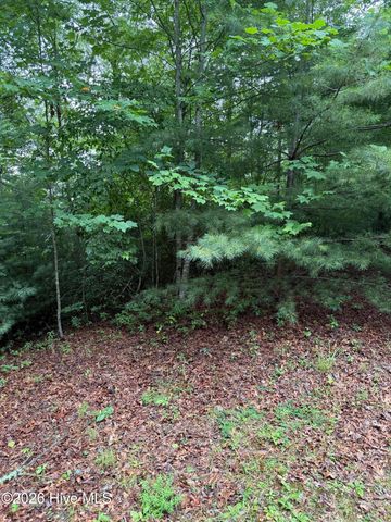 Lot 14 Mountain Vista Lane, Topton, NC 28781