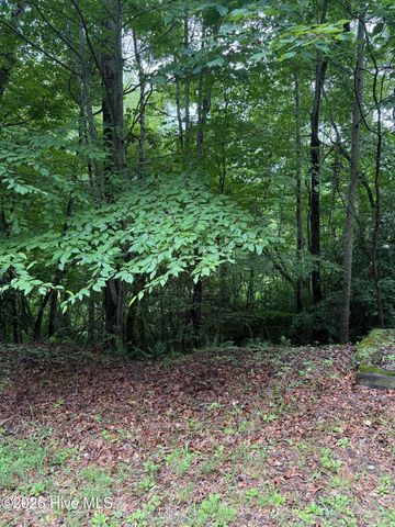 Lot 14 Mountain Vista Lane, Topton, NC 28781