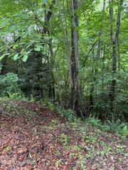 Lot 14 Mountain Vista Lane, Topton, NC 28781