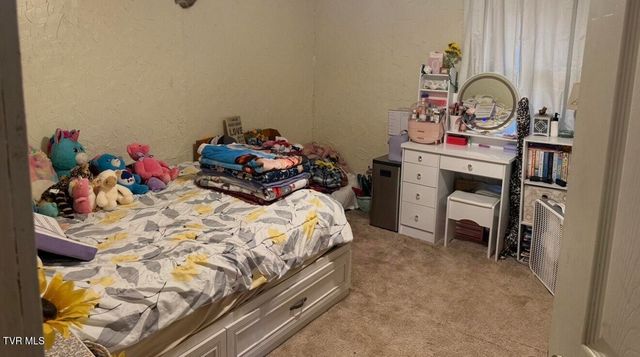 3005 Long Hollow Road, Cleveland, VA 24225