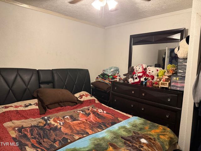 3005 Long Hollow Road, Cleveland, VA 24225