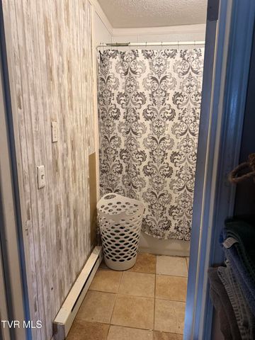 3005 Long Hollow Road, Cleveland, VA 24225