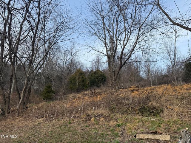 3005 Long Hollow Road, Cleveland, VA 24225