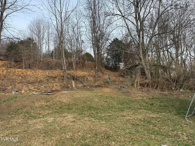 3005 Long Hollow Road, Cleveland, VA 24225