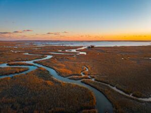 1098 Theodore Brunson Road, Awendaw, SC 29429