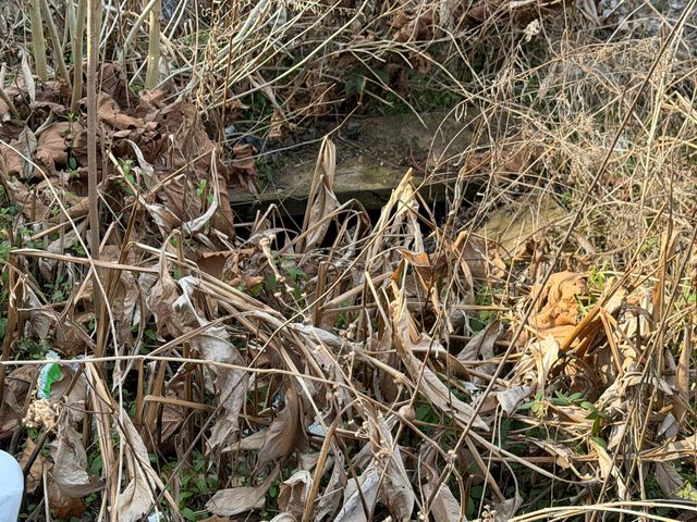 44 Carolina Springs Spur, North Augusta, SC 29841