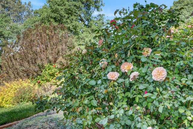 1760 Red Fox Rd, Placerville, CA 95667