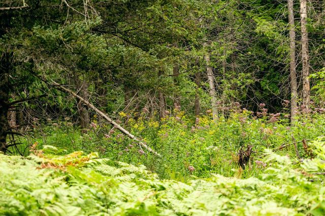 00 E Birch Point Road, Traverse City, MI 49684