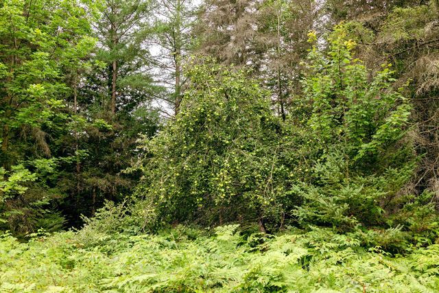 00 E Birch Point Road, Traverse City, MI 49684