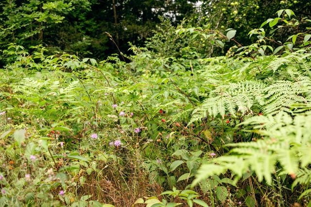 00 E Birch Point Road, Traverse City, MI 49684