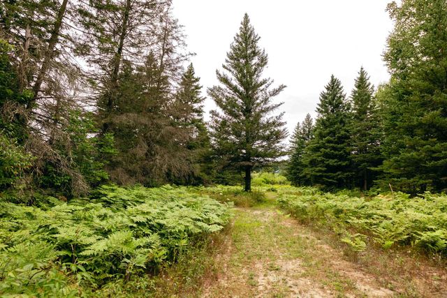 00 E Birch Point Road, Traverse City, MI 49684