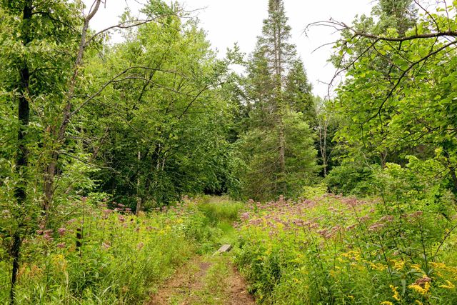 00 E Birch Point Road, Traverse City, MI 49684