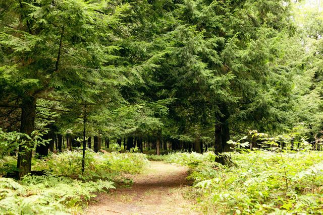 00 E Birch Point Road, Traverse City, MI 49684