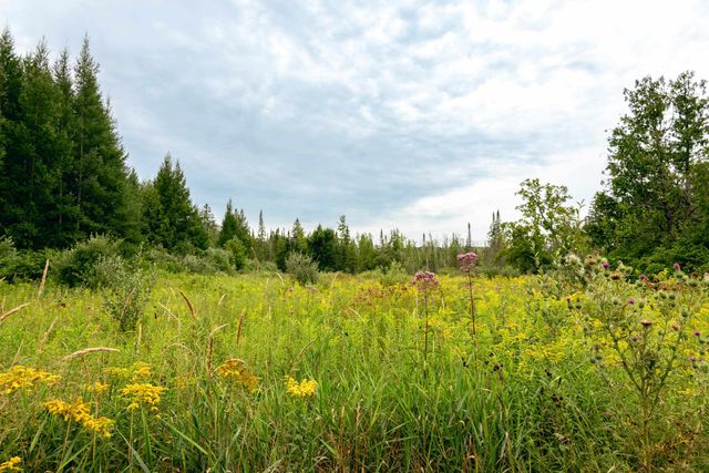 00 E Birch Point Road, Traverse City, MI 49684