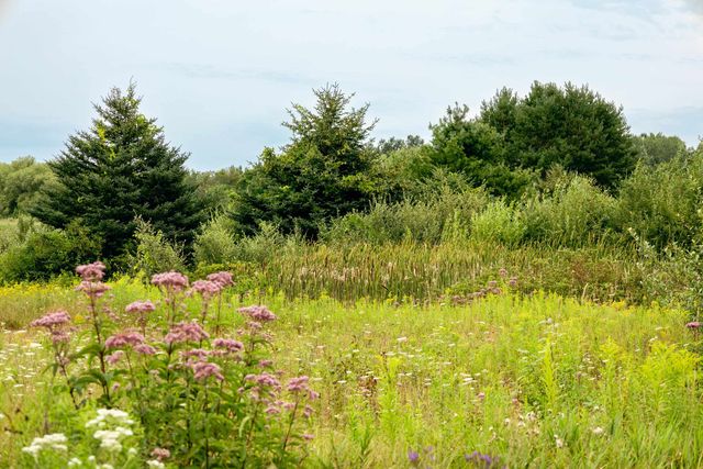 00 E Birch Point Road, Traverse City, MI 49684