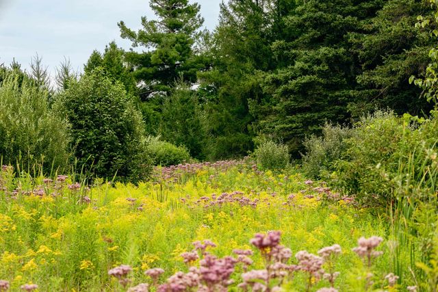 00 E Birch Point Road, Traverse City, MI 49684