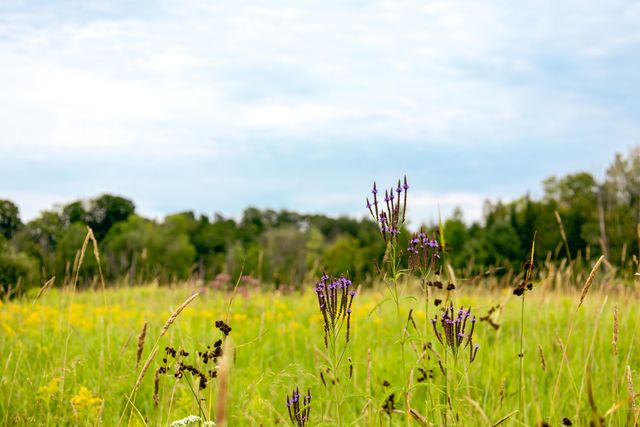 00 E Birch Point Road, Traverse City, MI 49684