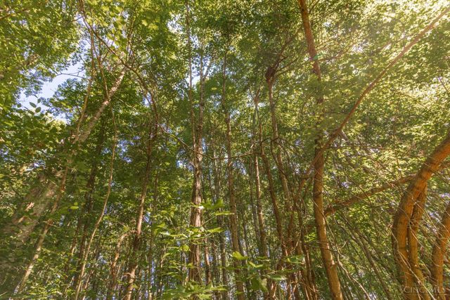 0 Tucumcari Drive, Jackson Twp, OH 45171