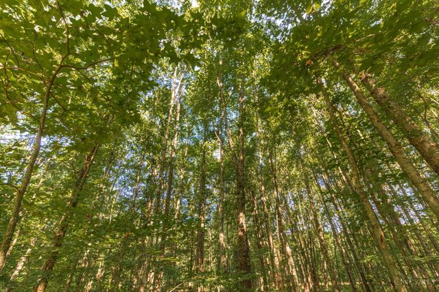 0 Tucumcari Drive, Jackson Twp, OH 45171