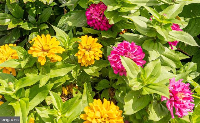 9540 WEDGE WAY, Delmar, MD 21875