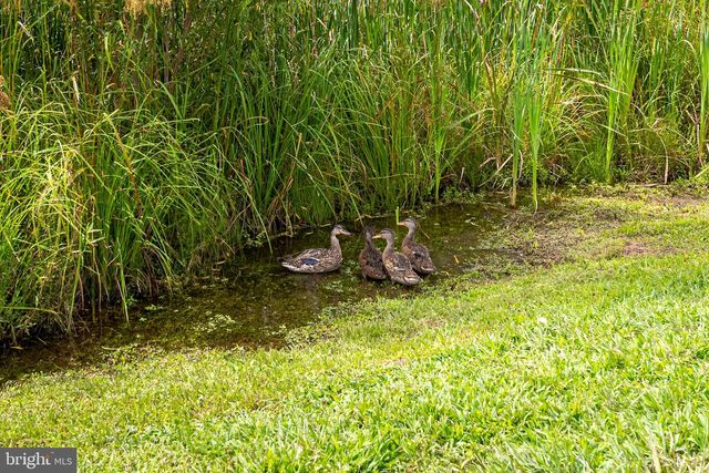 9540 WEDGE WAY, Delmar, MD 21875