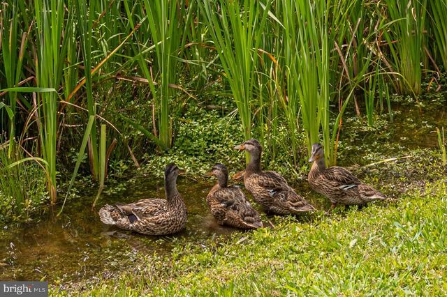 9540 WEDGE WAY, Delmar, MD 21875