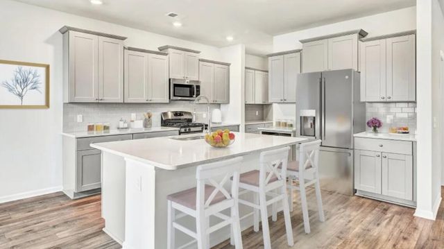 1040 Red Turnstone Run, Summerville, SC 29485