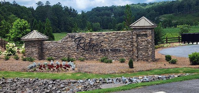 LT 106 Split Creek Road, Morganton, GA 30560