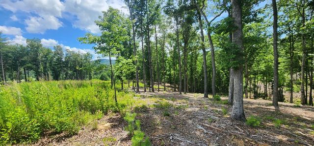 LT 106 Split Creek Road, Morganton, GA 30560