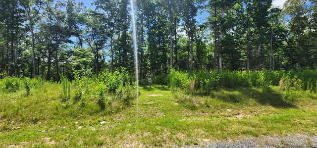 LT 106 Split Creek Road, Morganton, GA 30560