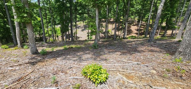 LT 106 Split Creek Road, Morganton, GA 30560