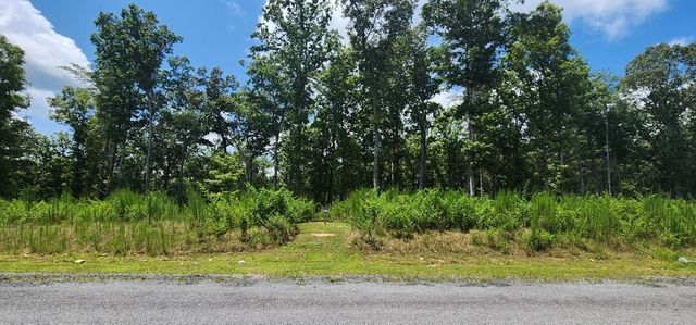 LT 106 Split Creek Road, Morganton, GA 30560