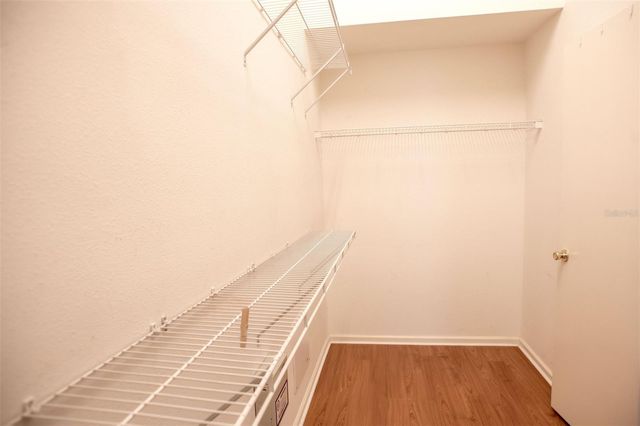 10620 EGRET HAVEN LANE, Riverview, FL 33578