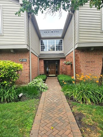 133 Idlewild Court 8, Schaumburg, IL 60195