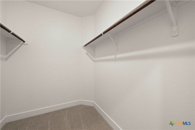 544 Gus Loop, Georgetown, TX 78626