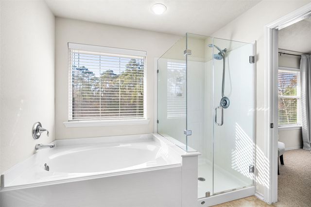 267 Bloomhill Place, Magnolia, TX 77354