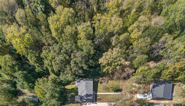 203 W Jordan, Grand Saline, TX 75140