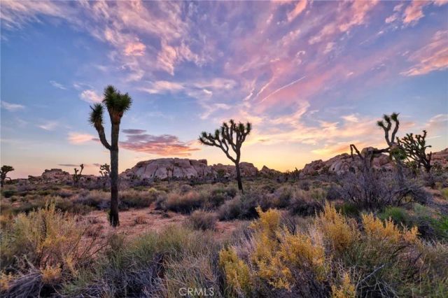 65076 E Broadway, Joshua Tree, CA 92252