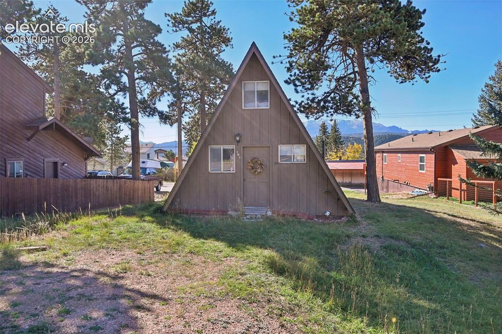 207 E Lake Avenue, Woodland Park, CO 80863 — exterior