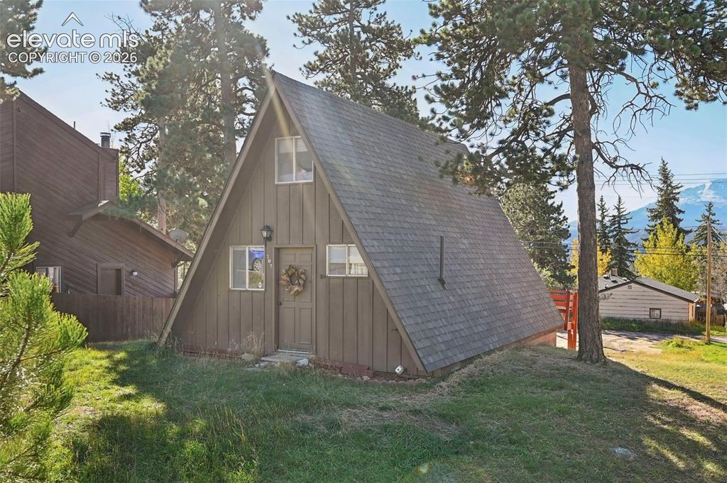 207 E Lake Avenue, Woodland Park, CO 80863 — photo 2