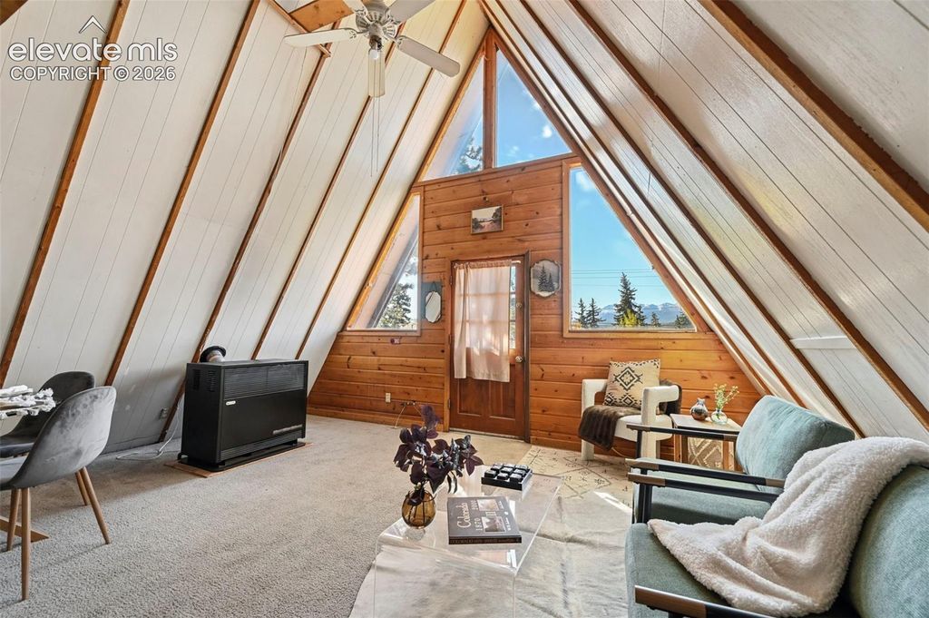 207 E Lake Avenue, Woodland Park, CO 80863 — photo 5