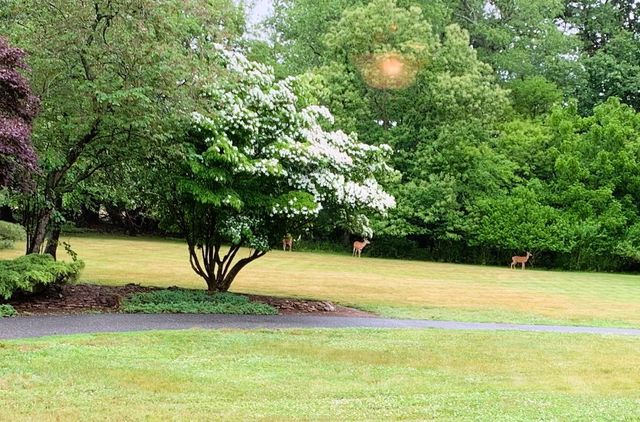 29 BIRDSALL DR, Bridgeton, NJ 08302