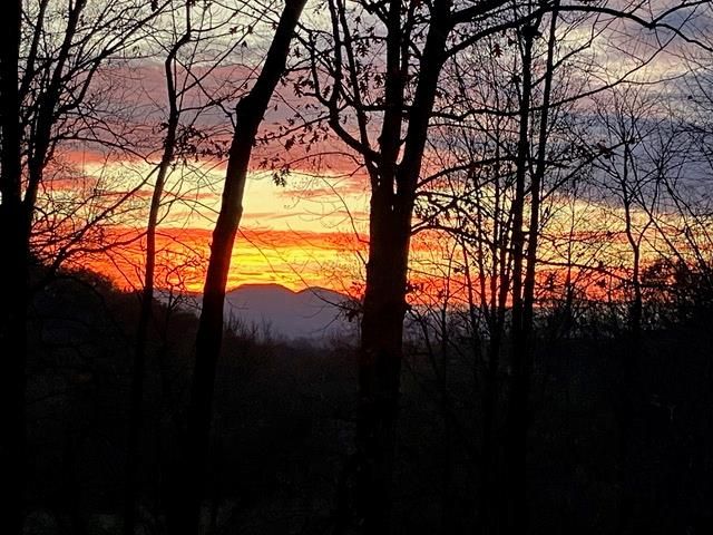 2912 Gribble Edwards Road, Hayesville, NC 28904
