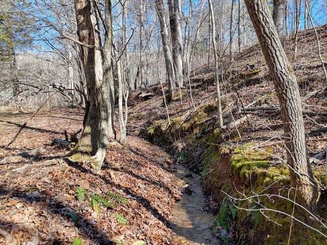 2912 Gribble Edwards Road, Hayesville, NC 28904